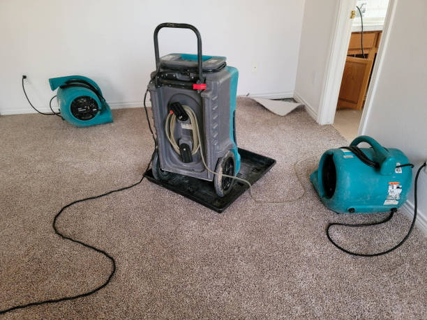Best Mold removal after water damage  in Sherrill, NY