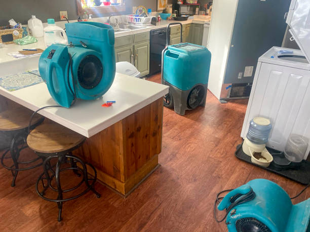 Best Basement water damage restoration  in Sherrill, NY