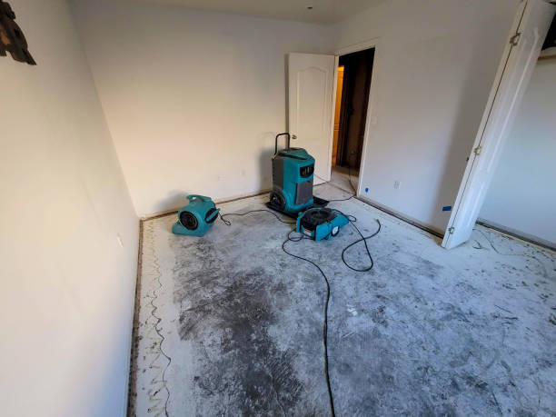 Best Water damage restoration near me  in Sherrill, NY