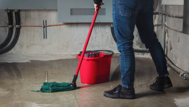 Best Flood damage cleanup  in Sherrill, NY