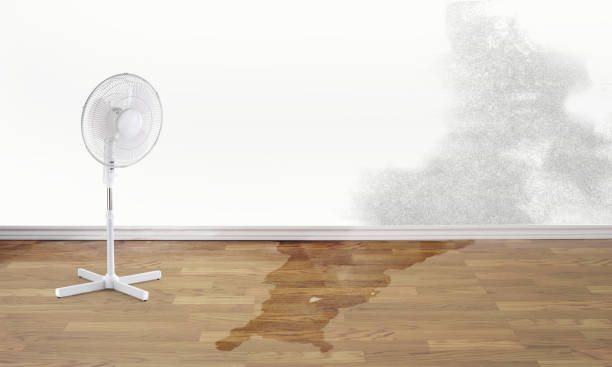 Best Professional water damage repair  in Sherrill, NY