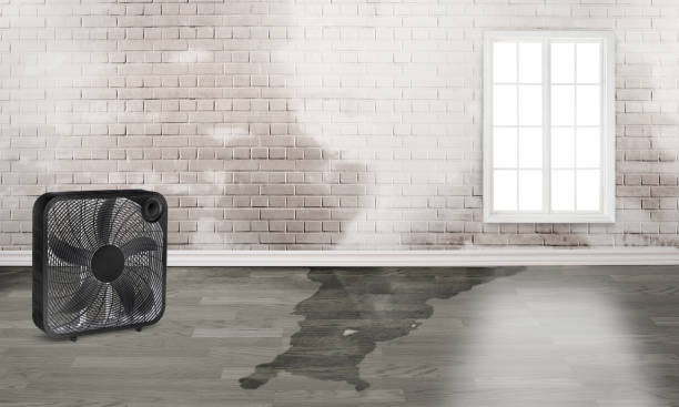 Best Commercial water damage restoration  in Sherrill, NY