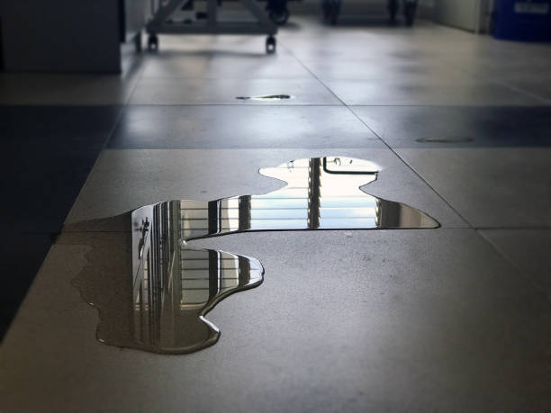 Best Local water damage restoration  in Sherrill, NY