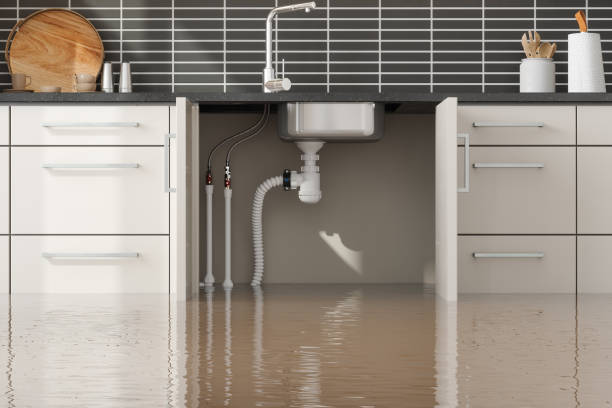 Best Carpet water damage restoration  in Sherrill, NY