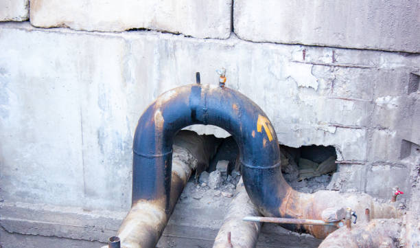 Best Mold removal after water damage  in Sherrill, NY