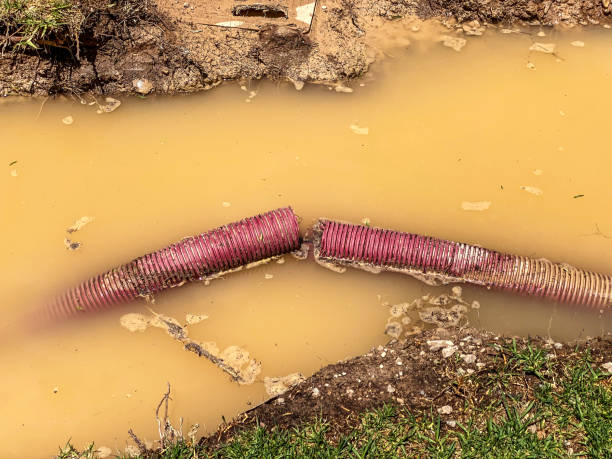 Best Water damage cleanup near me  in Sherrill, NY
