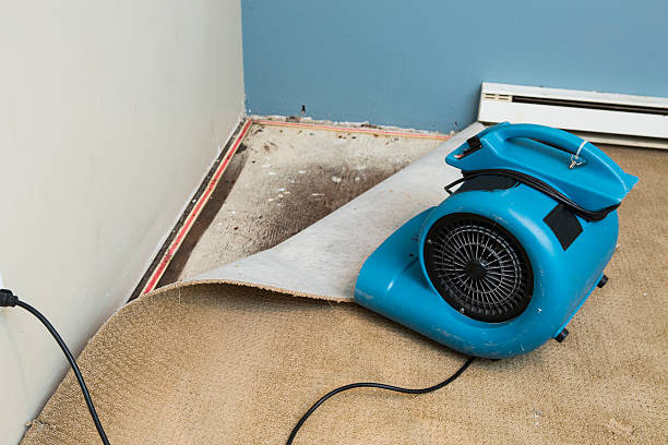 Best Flood restoration services  in Sherrill, NY